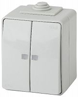 Выключатель ЭРА, серии ЭРА Эксперт, двойной с подсветкой IP65, 10АХ-250В, ОУ, серый (10/100/1600 