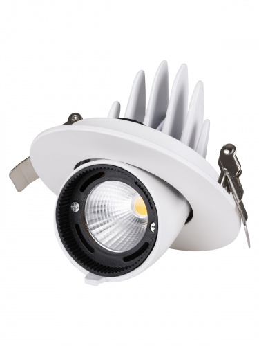 Светильник светодиодный TDM встраиваемый поворотный "Акцент-1" DSL-01-018-WW 18 Вт, 24°, 3000 К, 90 Ra, IP40, (1/40) (SQ0369-0400) фото 6 Светильник светодиодный TDM встраиваемый поворотный "Акцент-1" DSL-01-018-WW 18 Вт, 24°, 3000 К, 90 Ra, IP40, (1/40) (SQ0369-0400) фото 6