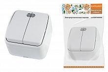 Выключатель 2-кл. открытой установки с подсветкой IP20 10А, белый "Дача" Народная (1/10/100) (SQ1824-0004)
