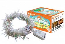 Гирлянда новогодняя светодиодная, СГ 100, 220 В, многоцветная, 5 м, 8 режимов TDM (SQ0361-0002)