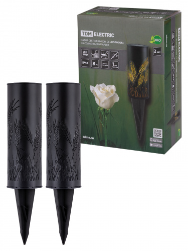 Набор Светильников TDM СС "Колосок" на солнечных батареях, сталь, 6х27 cм, 2 шт, (1/24) (SQ0330-0109) Набор Светильников TDM СС "Колосок" на солнечных батареях, сталь, 6х27 cм, 2 шт, (1/24) (SQ0330-0109)