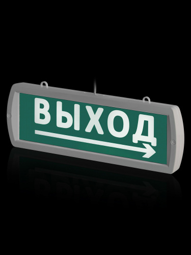 Оповещатель TDM охранно-пожарный световой Топаз-24-Д "Направление к выходу" 24 В, IP52 (1/35) (SQ0349-0408) фото 3