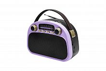 Радиоприемник трёхдиапазонный RITMIX RPR-040 LAVENDER, Bluetooth v.5.3, USB флэш/microSD, MP3, вход USB Type-C, ручка для переноски, лавандовый(1/18) (80004184)