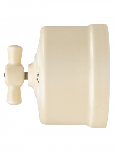 Выключатель фарфоровый поворотный проходной с ручкой (бантик) 10А сл. кость «Болонь» TDM (1/72) (SQ1820-0314) фото 4 Выключатель фарфоровый поворотный проходной с ручкой (бантик) 10А сл. кость «Болонь» TDM (1/72) (SQ1820-0314) фото 4