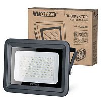 Прожектор светодиодный WOLTA WFL-100W/06, 5500K, 100 W SMD, IP 65, холодный свет (1/10)
