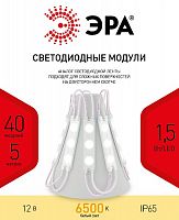 Модуль светодиодный ЭРА LED модули MZ2835-03-12V-2835-IP65-5m-6500 (50/800) (Б0044173)