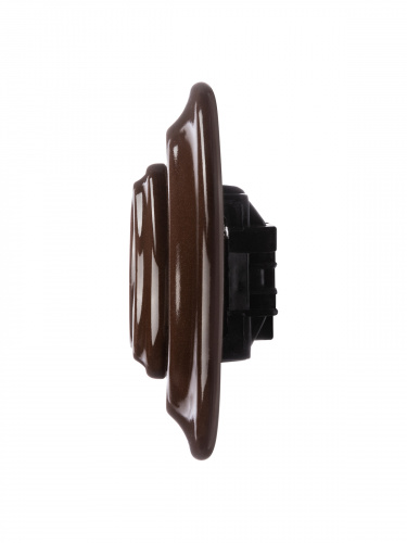 Розетка TDM скрытой установки фарфоровая 2П 10А 250В коричневая «Болонь» (1/36) (SQ1820-0421) фото 4 Розетка TDM скрытой установки фарфоровая 2П 10А 250В коричневая «Болонь» (1/36) (SQ1820-0421) фото 4