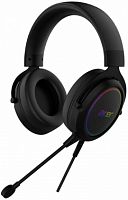 Наушники с микрофоном Acer AHW120 черный мониторные оголовье (ZL.HDSCC.01C) (1/20)