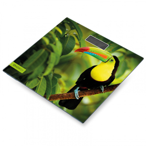 Весы напольные электронные ENERGY EN-419L (1/6) (101257) Весы напольные электронные ENERGY EN-419L (1/6) (101257)