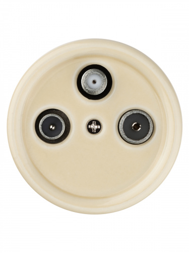 Розетка TDM TV+R+ SAT оконечная сл. кость «Болонь» (1/72) (SQ1820-0357) фото 5