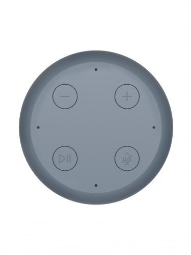 Умная колонка Prestigio SmartVoice голос.п.:Маруся 5W Android/iOS серая (PSS105M_DG) фото 3