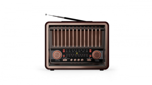 Радиоприёмник RITMIX RPR-089 REDWOOD  (ФМ/АМ/СВ),BT,вх. AUX,2 дин.,mp3,воспр.micro SD/USB,вст. аккум,телеск. Аннтен,пит. АС220В,50Гц/бат.(1/8) (80002007) фото 8