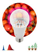 Фитолампа для растений светодиодная ЭРА FITO-10W-RB-E27 красно-синего спектра 10 ВТ Е27 (1/36) (Б0050600)