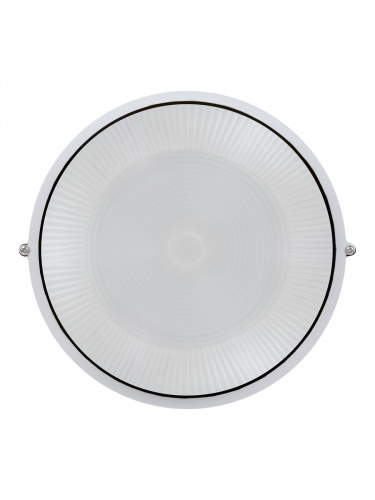 Светильник светодиодный TDM 10/1000/13-02 с датчиком (1/1) (SQ0329-0006) фото 3