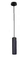 Светильник светодиодный ЭРА PL1 COB- 10 BK 300 подвесной COB 10W D80*300мм черный (20/240) (Б0041505)