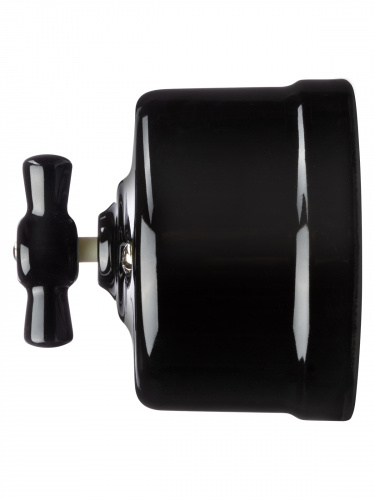 Выключатель фарфоровый поворотный перекрёстный с ручкой (бантик) 10А черный «Болонь» TDM (1/72) (SQ1820-0214) фото 4 Выключатель фарфоровый поворотный перекрёстный с ручкой (бантик) 10А черный «Болонь» TDM (1/72) (SQ1820-0214) фото 4