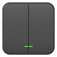 Выключатель 2-кл. О/У BLANCA 10А IP20 (сх. 5) 250В с подсветкой с изолир. пластиной антрацит Systeme Electric BLNVA105116 (1/15/30)