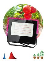 Прожектор светодиодный ЭРА FITO-50W-RB-LED для растений, для цветения и плодоношения красно-синего спектра 50 Вт (1/10) (Б0046368)