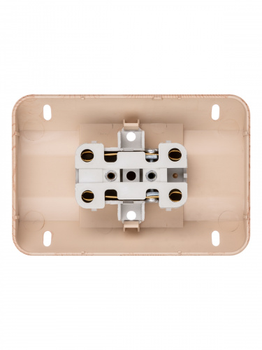 Розетка TDM угловая двойная 2П открытой установки с з/ш IP20 250В 10А сосна "Ладога" (6/72) (SQ1801-0442) фото 5