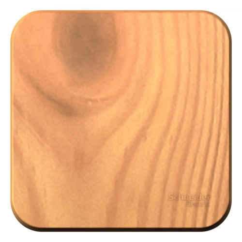 Выключатель 1-кл. О/У BLANCA 10А IP20 (сх. 1) 250В ясень Systeme Electric BLNVA101005 (1/15/30) Выключатель 1-кл. О/У BLANCA 10А IP20 (сх. 1) 250В ясень Systeme Electric BLNVA101005 (1/15/30)