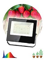 Прожектор светодиодный ЭРА FITO-100W-Ra90-LED для растений, для цветения и плодоношения полного спектра 100 Вт (1/10) (Б0047876)