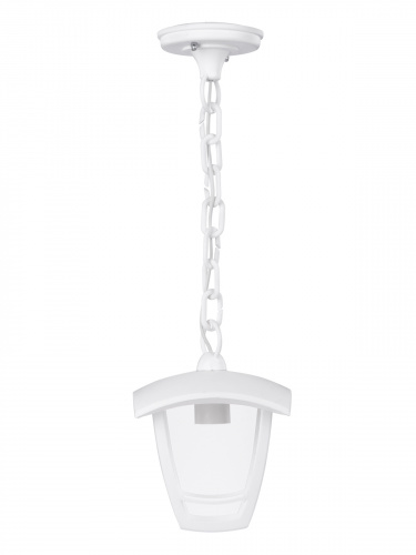 Светильник TDM садово-парковый "СИТИ" НСУ 07-60-001 У1 4-х гранник подвесной белый (1/8) (SQ0330-1313) фото 7 Светильник TDM садово-парковый "СИТИ" НСУ 07-60-001 У1 4-х гранник подвесной белый (1/8) (SQ0330-1313) фото 7