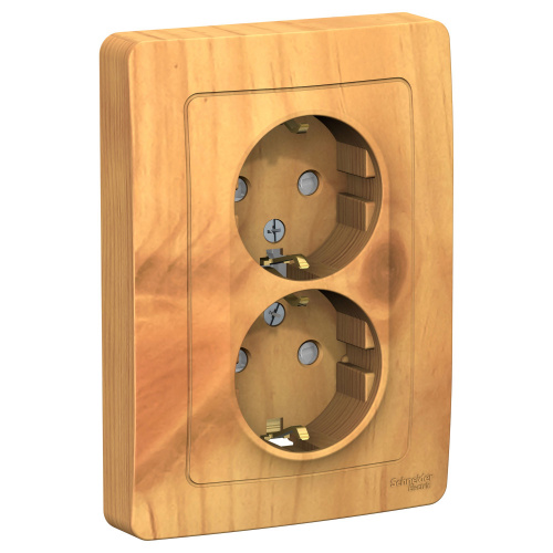 Розетка 2-м С/У BLANCA 16А IP20 250В с заземл. защ. шторки ясень Systeme Electric BLNRS001125 (1/6/12) Розетка 2-м С/У BLANCA 16А IP20 250В с заземл. защ. шторки ясень Systeme Electric BLNRS001125 (1/6/12)