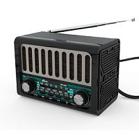 Радиоприемник трёхдиапазонный RITMIX RPR-020, Bluetooth v.5.4, USB флэш/microSD, вход USB Type-C, черный(1/20) (80003915)