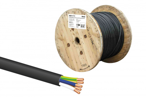 Кабель TDM ВВГнг(А)-LSLTx 5х4 ок(N, PE)-0,66 ГОСТ (1/1) (SQ0117-0360)