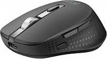 Беспроводная мышь ACER OMR310 черный оптическая 1600dpi BT/Radio USB (ZL.MCECC.031) (1/60)
