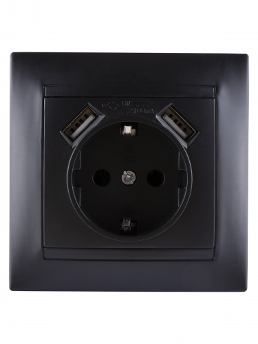 Розетка 2П+З 16А 250В + 2 USB порта 2,1А 5В графит с/у, "Лама" (1/96) TDM (SQ1815-0642) фото 4 Розетка 2П+З 16А 250В + 2 USB порта 2,1А 5В графит с/у, "Лама" (1/96) TDM (SQ1815-0642) фото 4