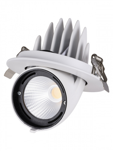 Светильник светодиодный TDM встраиваемый поворотный "Акцент-1" DSL-01-030-WW 30 Вт, 24°, 3000 К, 90 Ra, IP40, (1/20) (SQ0369-0401) фото 6 Светильник светодиодный TDM встраиваемый поворотный "Акцент-1" DSL-01-030-WW 30 Вт, 24°, 3000 К, 90 Ra, IP40, (1/20) (SQ0369-0401) фото 6