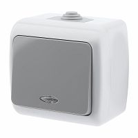 Выключатель INTRO Atlantic 5-102-03 с подсветкой, 10А-250В, IP54, открытой установки, серый