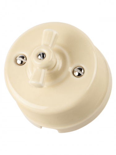 Выключатель фарфоровый поворотный перекрёстный с ручкой (бантик) 10А сл. кость «Болонь» TDM (1/72) (SQ1820-0317) фото 6 Выключатель фарфоровый поворотный перекрёстный с ручкой (бантик) 10А сл. кость «Болонь» TDM (1/72) (SQ1820-0317) фото 6