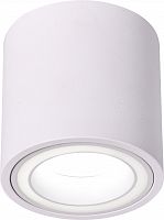 Светильник ЭРА накладной настенно-потолочный спот OL47 WH MR16 GU10 IP20 белый (1/50) (Б0059795)