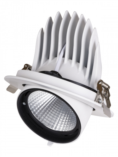 Светильник светодиодный TDM встраиваемый поворотный "Акцент-1" DSL-01-040-WW 40 Вт, 24°, 3000 К, 90 Ra, IP40, (1/16) (SQ0369-0402) фото 5