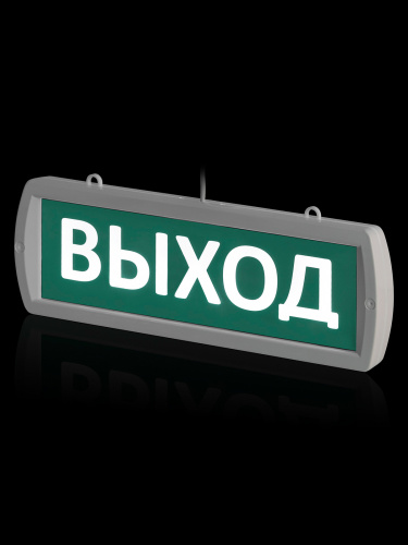 Оповещатель TDM охранно-пожарный световой Топаз-220-Д "Выход" 220 В, IP52 (1/35) (SQ0349-0406) фото 3