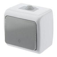 Переключатель INTRO Atlantic 5-103-03 10А-250В, IP54, открытой установки, серый (1/10/120) (Б0050942)