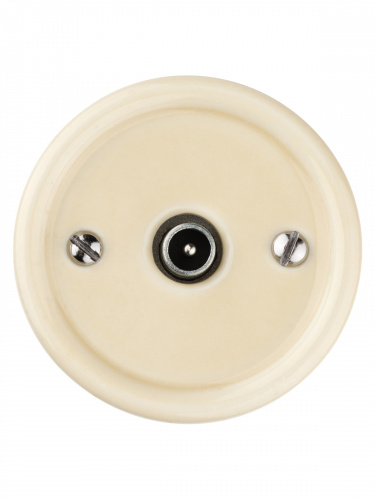 Розетка TDM TV проходная сл. кость «Болонь» (1/72) (SQ1820-0354) фото 5