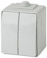 Выключатель ЭРА, серии ЭРА Эксперт, двойной IP65, 10АХ-250В, ОУ, серый (10/100/1600)