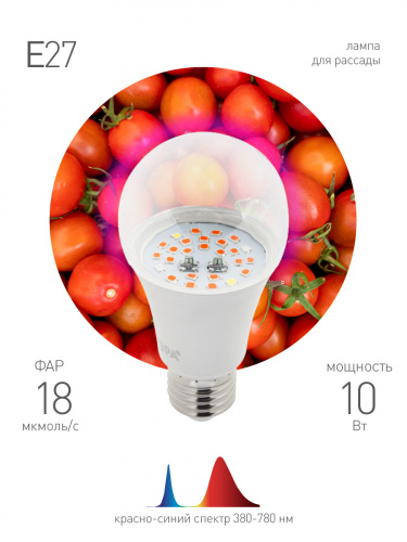 Фитолампа для растений светодиодная ЭРА FITO-10W-RB-E27 красно-синего спектра 10 ВТ Е27 (1/36) (Б0050600) фото 3