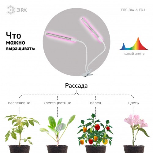Светильник для растений на прищепке ЭРА FITO-20W-АLED-L полного спектра 12 Вт белый (1/12) (Б0049550) фото 5