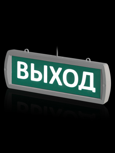 Оповещатель TDM охранно-пожарный световой Топаз-12-Д "Выход" 12 В, IP52 (1/35) (SQ0349-0404) фото 3