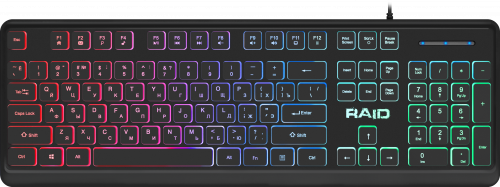 Клавиатура проводная игровая DEFENDER Raid GK-778DL RU, Rainbow,104 кнопки, черная (1/20) (45778)