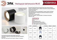 Светильник ЭРА настенно-потолочный спот WL40 BK GX53, черный, IP54 (1/20) (Б0054414)