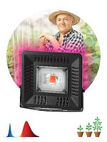 Прожектор светодиодный ЭРА FITO-50W-LED-BLUERED для растений, для цветения и плодоношения 50Вт красно-синего спектра (1/10) (Б0039033)
