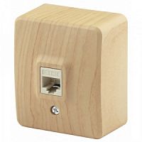 Розетка ЭРА, серии ЭРА Эксперт, информационная RJ45, ОУ, сосна (1/16/160/3200)
