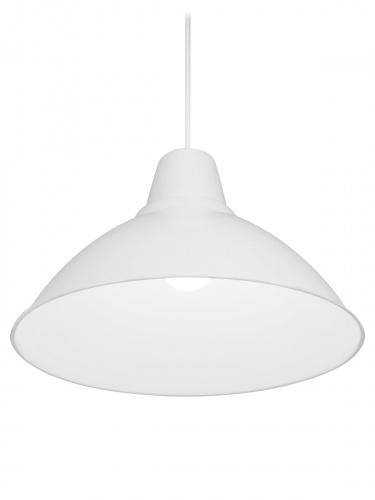 Светильник НСБ 2537/1 "Steel" 40 Вт, E27, опал, шнур белый TDM (1/1) (SQ0313-0046) фото 6 Светильник НСБ 2537/1 "Steel" 40 Вт, E27, опал, шнур белый TDM (1/1) (SQ0313-0046) фото 6