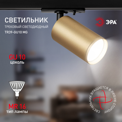 Трековый светильник однофазный ЭРА TR39-GU10 MG под лампу MR16 золото (1/100) (Б0053312) фото 9