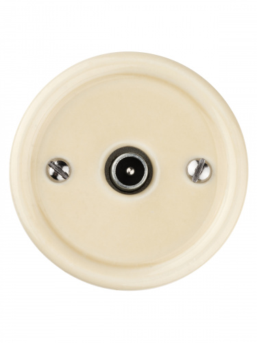 Розетка TDM TV оконечная сл. кость «Болонь» (1/72) (SQ1820-0353) фото 5 Розетка TDM TV оконечная сл. кость «Болонь» (1/72) (SQ1820-0353) фото 5